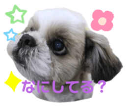 277935457