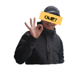 277948647