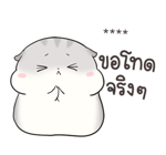 เจ้าหนูแฮมๆ วันตรุษจีน By อ้วนกลม รูปที่ 67