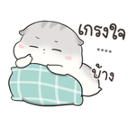 เจ้าหนูแฮมๆ วันตรุษจีน By อ้วนกลม รูปที่ 77