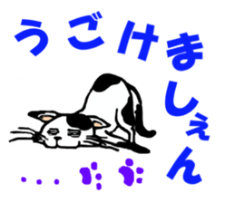 2780051