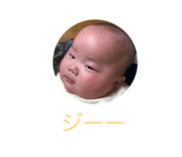 278068385