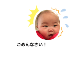 278068395