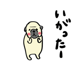 2780793