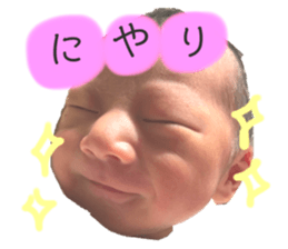 278095003