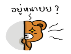 278120538