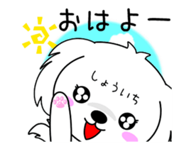 278132967