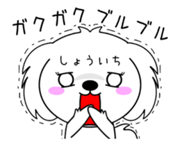 278132981