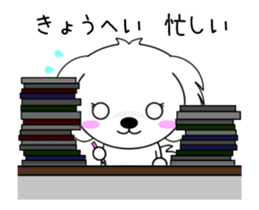 278137106