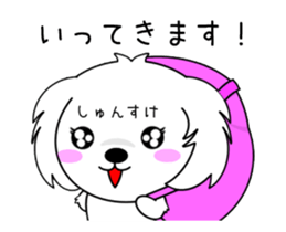 278143449