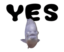 27819456