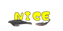 27819462