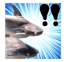 27819464
