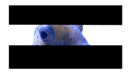 27819468