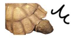 27819469