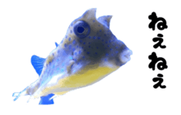 27819472