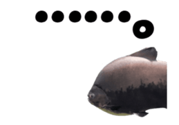 27819473