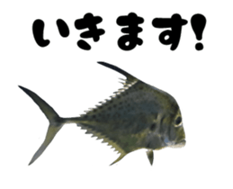 27819476