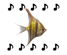 27819478