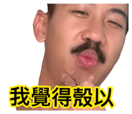 278311587