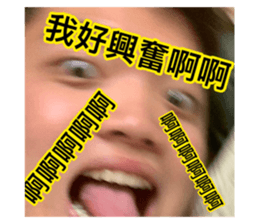 278311590