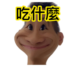 278311594