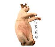 278356360