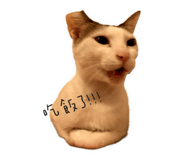 278356365