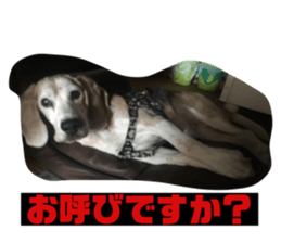 278425476