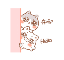 278437798