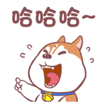 278441010