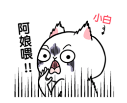 278471902