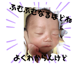 278484399