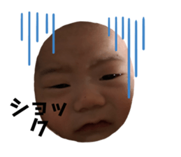 278484411