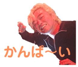278502647
