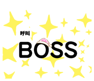 278561313