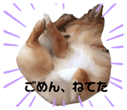 278626692