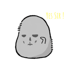278645892