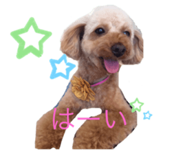 278790078