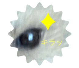 278790174