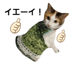 278794196