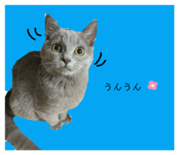 278878554