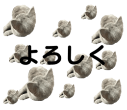 278878566