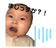 278894147