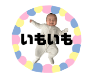 278894149
