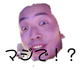 278928081