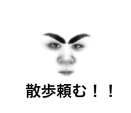 278956085