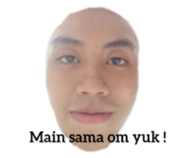 278956558