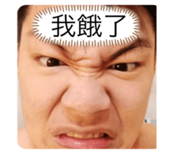 278957205