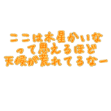 278988606
